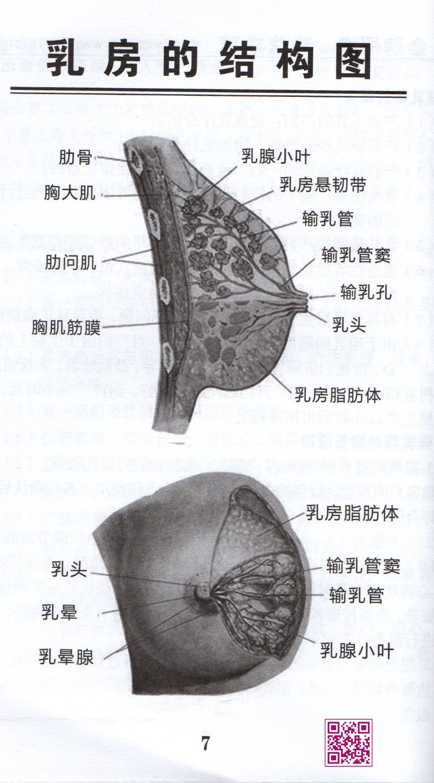 img031副本.jpg